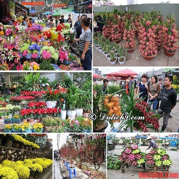 Khám phá chợ hoa Tết đẹp và rẻ ở Hà Nội