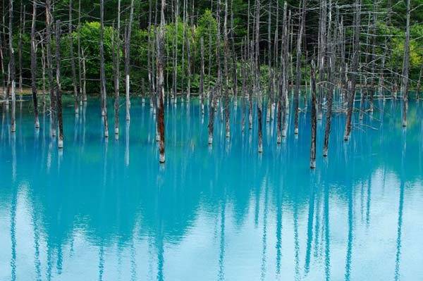 Hồ xanh, thị trấn Biei, Hokkaido