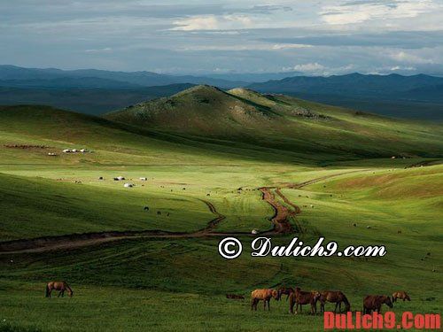 Kinh nghiệm du lịch Mông Cổ: Du lịch Mông Cổ chơi gì vui?