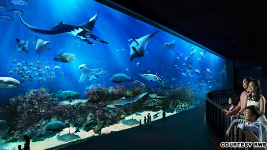 S.E.A Aquarium 2 - iVIVU.com