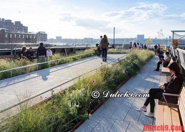 Công viên High Line - điểm du lịch miễn phí ở New York