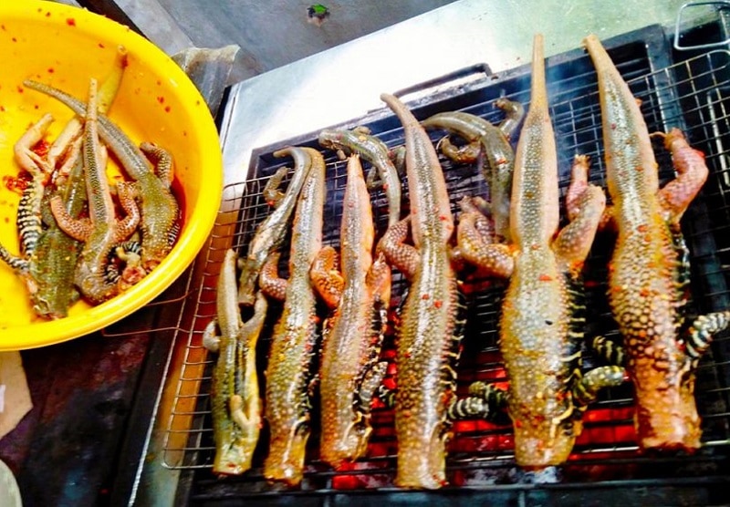 Kinh nghiệm du lịch Phan Rang, thịt dông Phan Rang