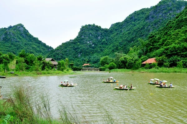 Thung Chim Ninh Binh