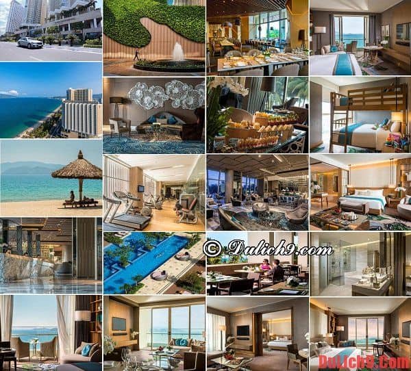 Top những khách sạn 5 sao đẳng cấp, sang trọng được du khách yêu thích và đánh giá cao nên ở khi du lịch Nha Trang