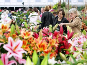 Lễ hội hoa ở Chelsea - Anh