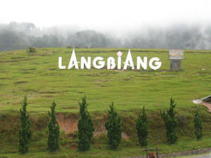 Núi Langbiang - Đà Lạt - iVIVU.com