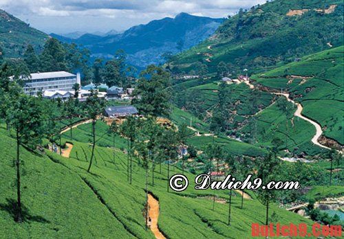 Top điểm đến nổi tiếng Sri Lanka