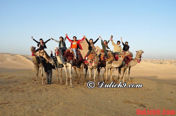 Kinh nghiệm du lịch Ai Cập: Hướng dẫn cách di chuyển, đi lại, tham quan, ăn uống, vui chơi khi du lịch Ai Cập