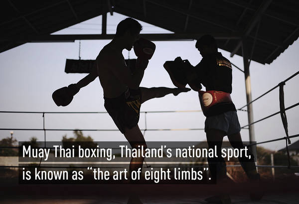 Muay Thai (tiếng Thái: มวยไทย, chuyển tự: Muai Thai, IPA: mūɛj tʰāj) là một môn võ thuật cổ truyền đồng thời là một môn thể thao phổ thông của Thái Lan. 