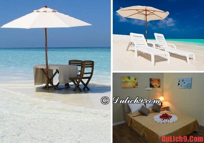 Nên thuê khách sạn nào giá rẻ ở Maldives? Khách sạn bình dân, giá rẻ ở Maldives