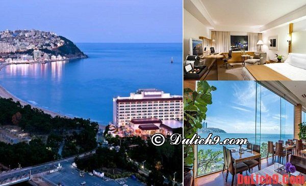 Khách sạn đẹp, đầy đủ tiện nghi ở Busan