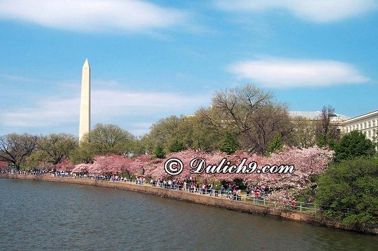 Kinh nghiệm du lịch Washington tự túc, giá rẻ: Hướng dẫn đi lại, tham quan, ăn uống khi du lịch Washington DC