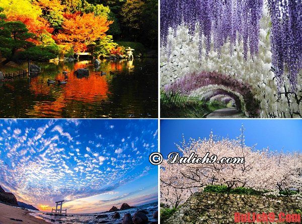 Nên du lịch Fukuoka, Nhật bản vào thời gian, thời điểm và mùa nào trong năm là tuyệt nhất?