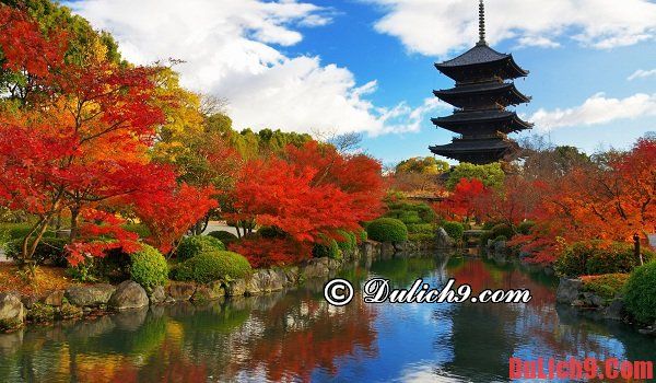 Khách sạn bình dân, giá rẻ ở Kyoto. Nên ở khách sạn nào khi du lịch Kyoto? Du lịch Kyoto nên ở khách sạn nào giá rẻ?