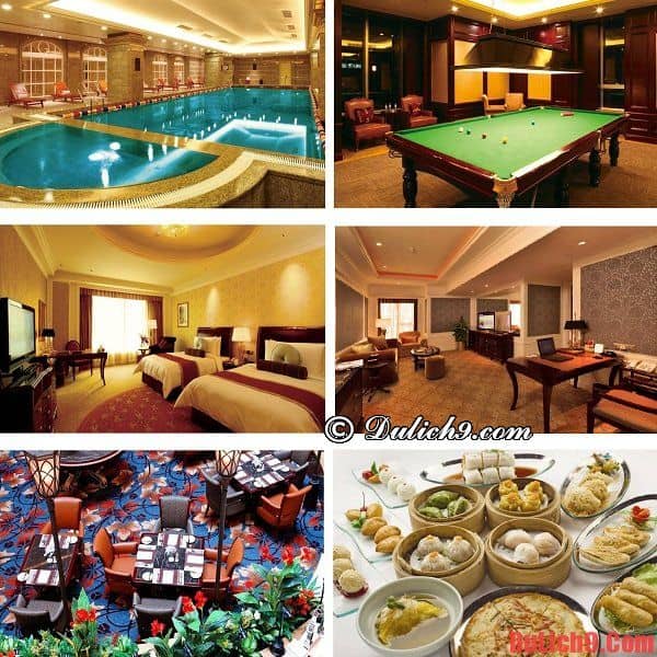 Du lịch Thượng Hải nên ở khách sạn nào? Khách sạn cao cấp, chất lượng, hút khách nổi tiếng được đặt phòng nhiều và đánh giá tốt nhất Thượng Hải