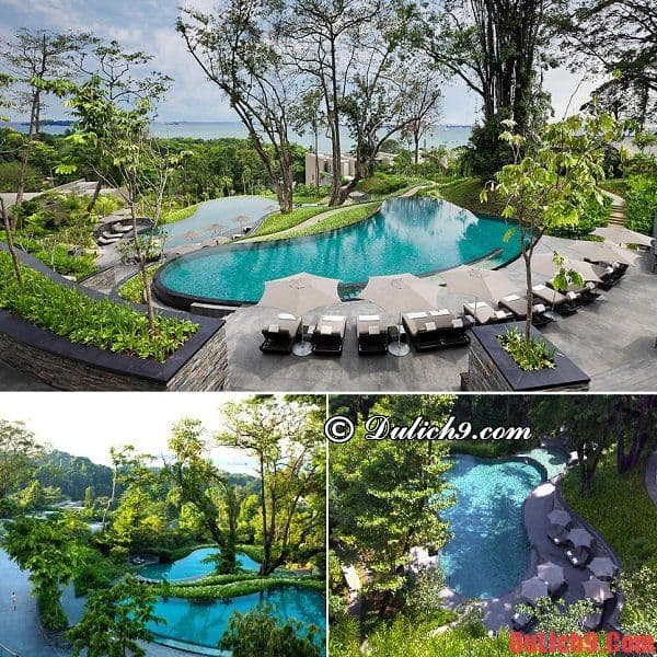 Khách sạn có hồ bơi cao cấp, tuyệt vời và view đẹp nhất Singapore