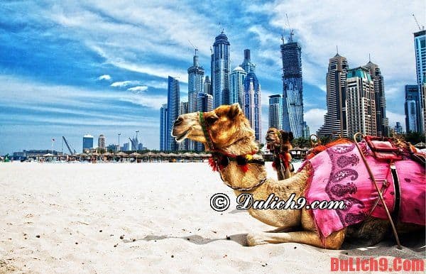 . Du lịch Dubai nên chơi ở đâu, đi đến những địa điểm nào đẹp, hấp dẫn