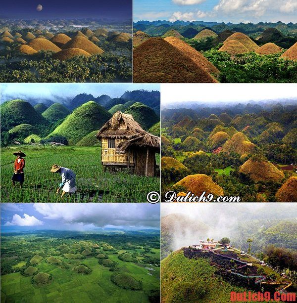 Đảo Bohol - Điểm tham quan, du lịch độc đáo phải ghé qua một lần khi du lịch Philippines