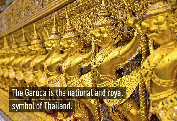 Garuda (Kim sí điểu) là chủ thể trên quốc huy của vương quốc Thái Lan và là biểu tượng của lòng trung thành tại nước này