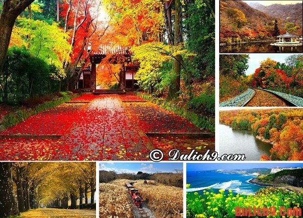 Du lịch bụi, phượt Hàn Quốc mùa thu - Thời điểm du lịch tuyệt vời nhất ở Hàn Quốc. Du lịch Hàn Quốc mùa nào, tháng mấy đẹp nhất?