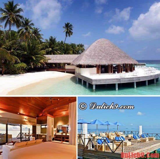 Nên thuê resort nào ở Maldives?