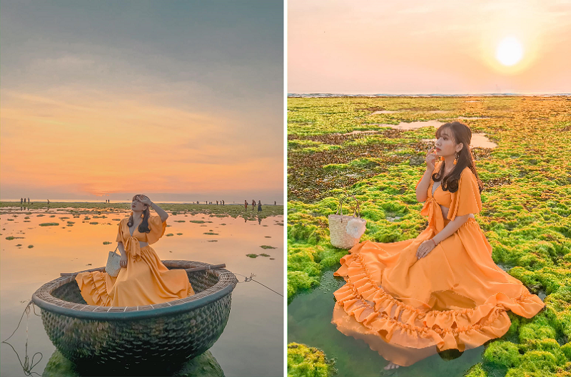 Địa điểm sống ảo ở Ninh Thuận, bãi rêu xanh làng Từ Thiện