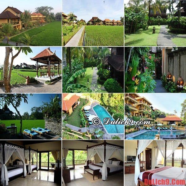 Khách sạn 3 sao chất lượng và tiện nghi hiện đại giá dưới 100 USD nên ở khi du lịch Bali, Indonesia