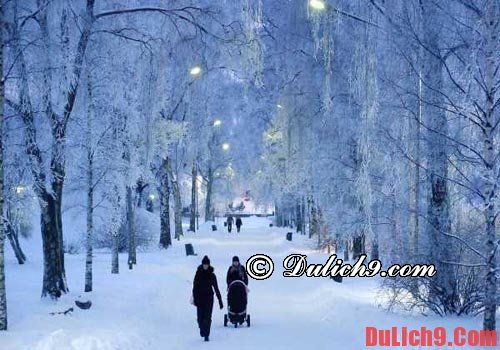 Du lịch Phần Lan tháng nào bớt lạnh. Nên đi đu lịch Phần Lan mùa nào, tháng mấy đẹp nhất? Nên đi du lịch Phần Lan khi nào?