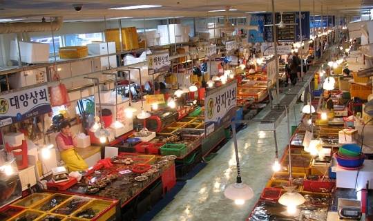 busan-jagalchi-fish-market-2