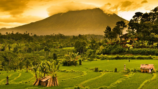Đảo Bali - Indonesia - iVIVU.com