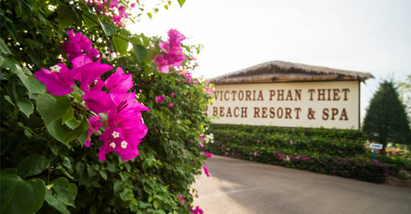 Nằm “ẩn mình” giữa thủ đô resort, Victoria Phan Thiết Beach Resort & Spa sẽ là điểm dừng chân lý tưởng cho gia đình bạn trong kì nghỉ sắp tới. Ảnh: victoriahotels