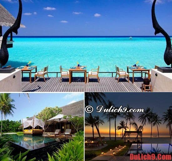 Resort hướng ra đảo và có hồ bơi ở Maldives 