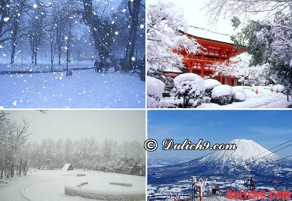 : Du lịch Nhật Bản mùa nào, tháng mấy đẹp nhất?