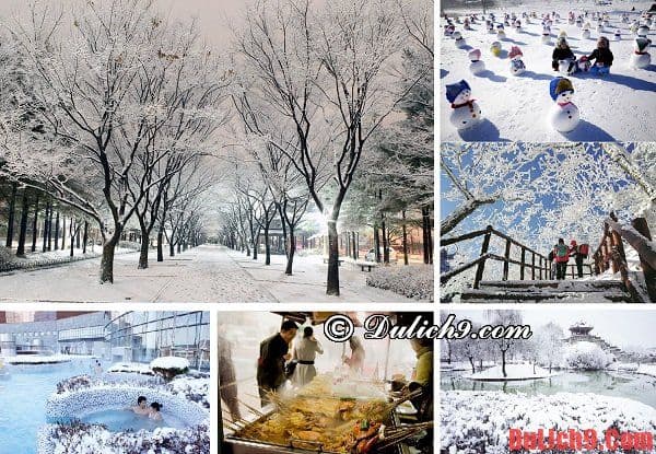 Mùa đông - Thời điểm du lịch Hàn Quốc thú vị và trải nghiệm vui vẻ nhất. nên đi du lịch Hàn Quốc mùa nào, tháng mấy?