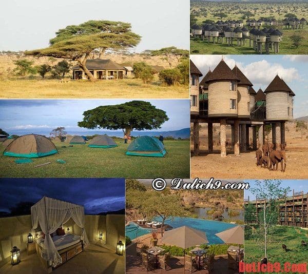 Kinh nghiệm đặt phòng khách sạn khi du lịch Kenya