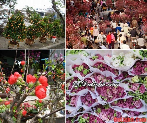 Du lịch Hà Nội tham quan chợ hoa Tết nổi tiếng: Hà Nội có chợ hoa tết nào nổi tiếng?