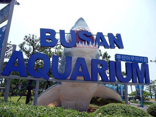 busan_aquarium_sign (1)