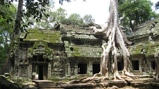Đền Angkor, Siem Riep, Campuchia - iVIVU.com