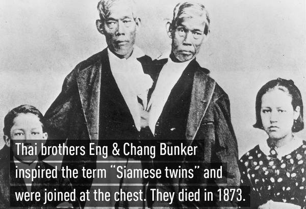 Chang Bunker và Eng Bunker (ngày 11 tháng 5 năm 1811 – ngày 17 tháng 2 năm 1874) là cặp sinh đôi dính liền hai anh em đã được người đời còn gọi là "anh em sinh đôi bị dính nhau ở phần sụn xương ứcngười Xiêm" vì họ sinh ra ở Xiêm.[1][2]