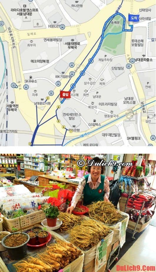 Du lịch Hàn Quốc tự túc nên mua nhân sâm chất lượng và uy tín ở đâu