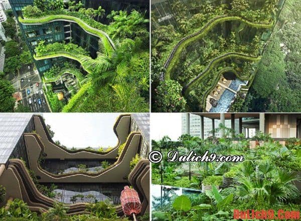 Những công trình kiến trúc xanh nổi tiếng của Singapore