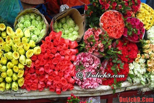 Du lịch Hà Nội ghé thăm chợ hoa Tết đẹp họp ban đêm