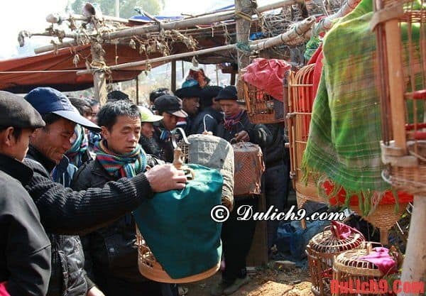 Chợ phiên vùng cao Hà Giang lúc nào cũng đông vui tấp nập người