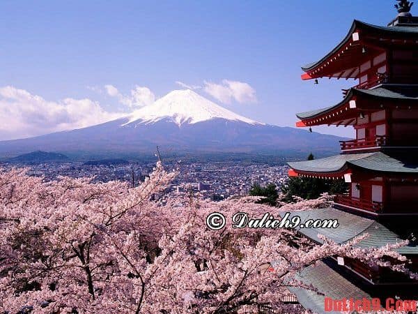 tự túc. Hướng dẫn cách tiết kiệm chi phí khi du lịch Nhật Bản