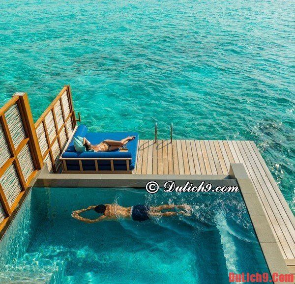 Thuê khách sạn, Resort ở Maldives