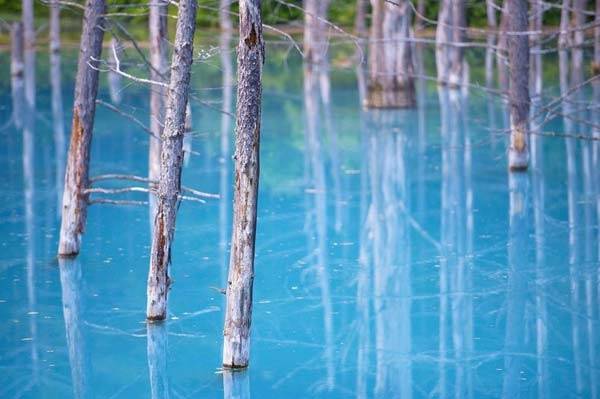 Hồ xanh, thị trấn Biei, Hokkaido