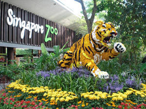 Vườn thú Singapore - iVIVU.com