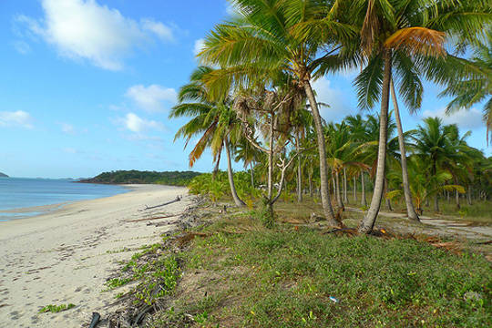 Du lịch quần đảo Torres Strait, Úc - iVIVU.com