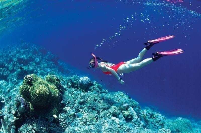 Review du lịch Cát Bà tự túc chơi đâu, ăn gì? Lặn biển ngắm san hô ở Cát Bà