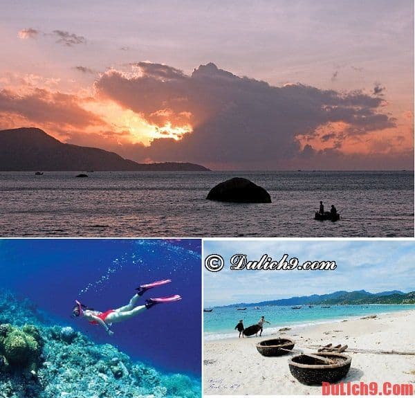 Địa điểm tham quan hấp dẫn khi du lịch bụi đảo Bình Ba - Kinh nghiệm du lịch đảo Bình Ba, chơi gì vui khi du lịch đảo Bình Ba?